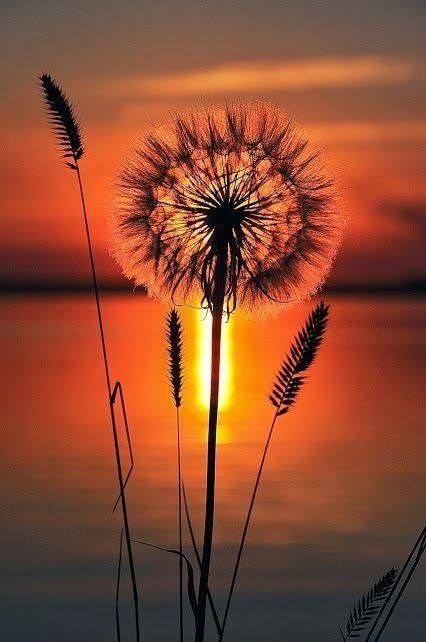 ACIM Chapter 3, IV, Error and the Ego, P 7
God and His creations remain in surety, and therefore know that no miscreation exists.