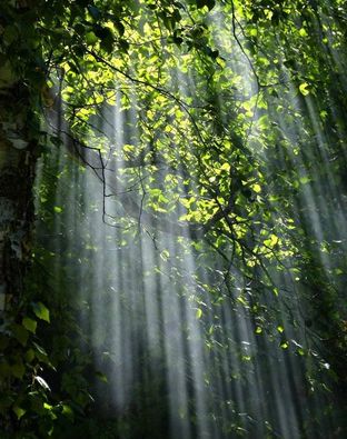ACIM Chapter 4, III. Love Without Conflict, P 5, 6