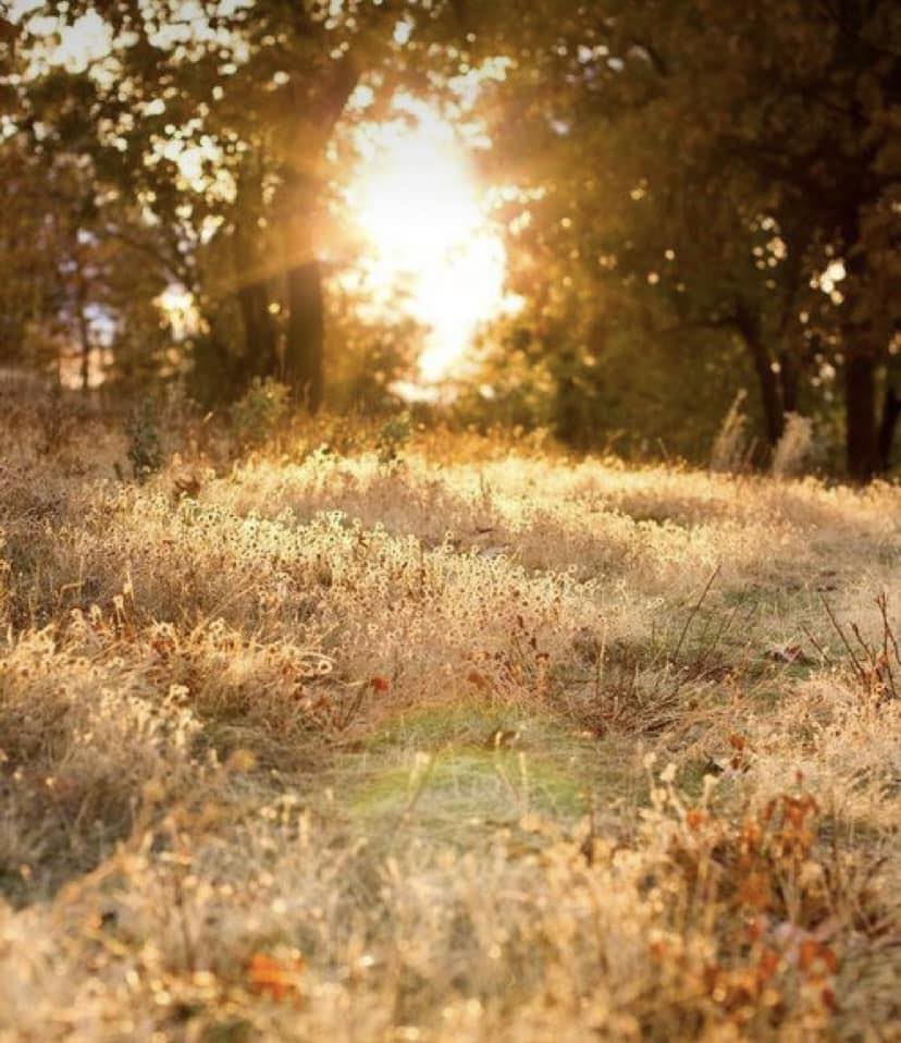 ACIM Chapter 4, II. The Ego and False Autonomy, P 7, 8