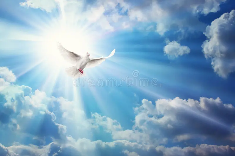 Forgiveness Lifts Us Above the Battleground