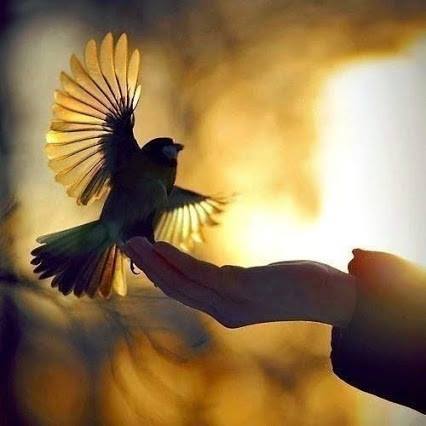 ACIM Chapter 5. III. The Guide to Salvation, P 10, 11