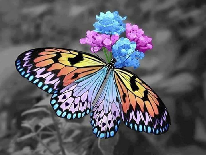 ACIM Chapter 5. IV. Teaching and Healing, P 5, 6