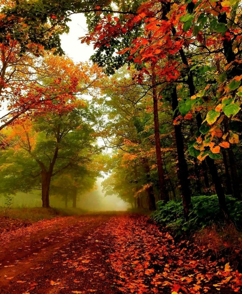 ACIM Chapter 6. V. A. To Have, Give All to All, P 3, 4