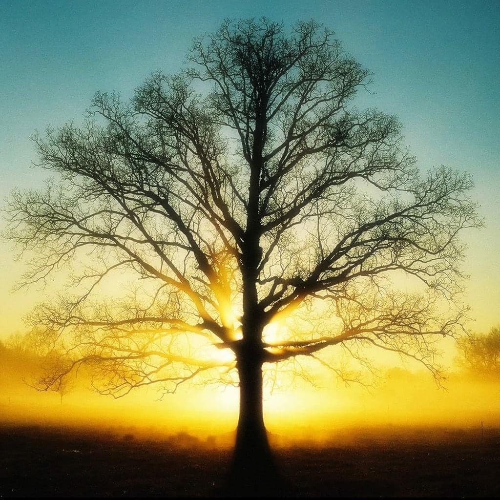ACIM Chapter 6. IV. The Only Answer, P 10, 11, 12