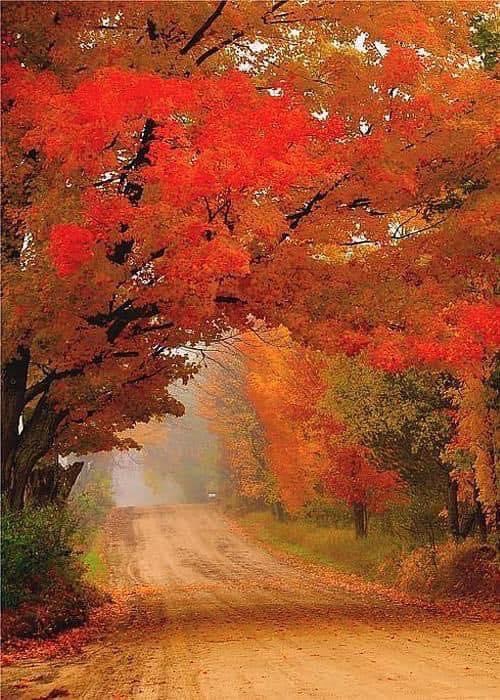 ACIM Chapter 6. IV. The Only Answer, P 1, 2