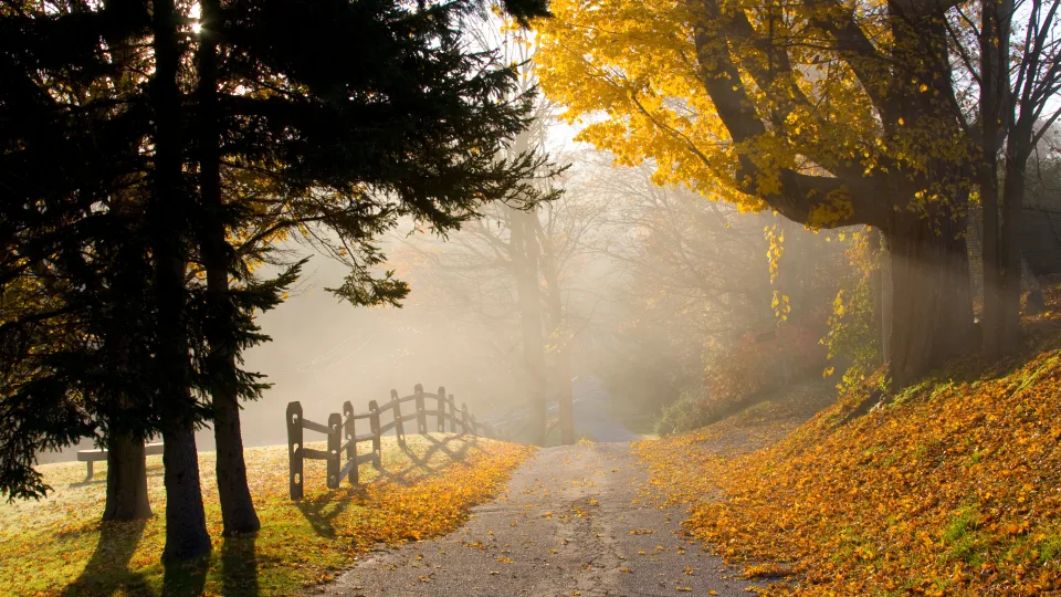 ACIM Chapter 6. V. A. To Have, Give All to All, P 5, 6
