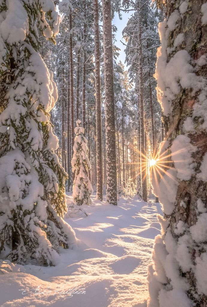 ACIM Chapter 7.VII. The Totality of the Kingdom, P 4