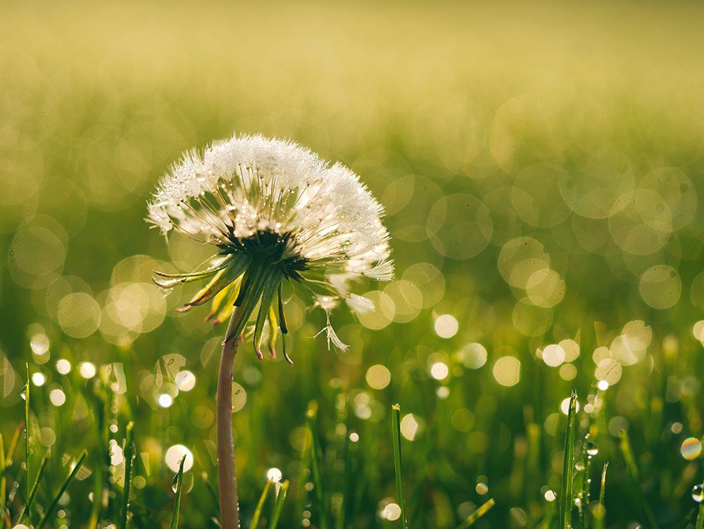 ACIM Chapter 9. I. The Acceptance of Reality, P 9, 10