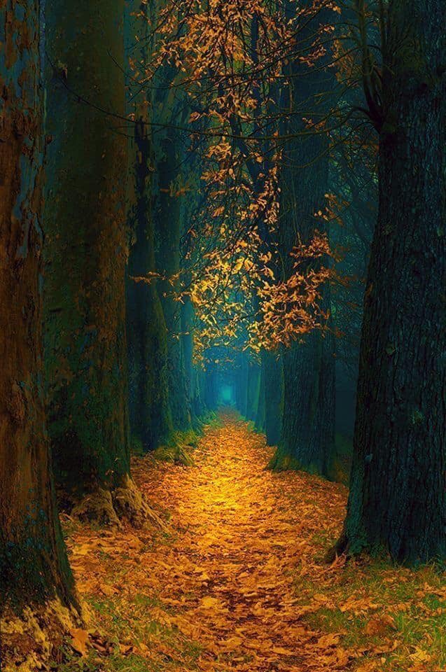 ACIM Chapter 8. IX. Healing as Corrected Perception, P 7-9