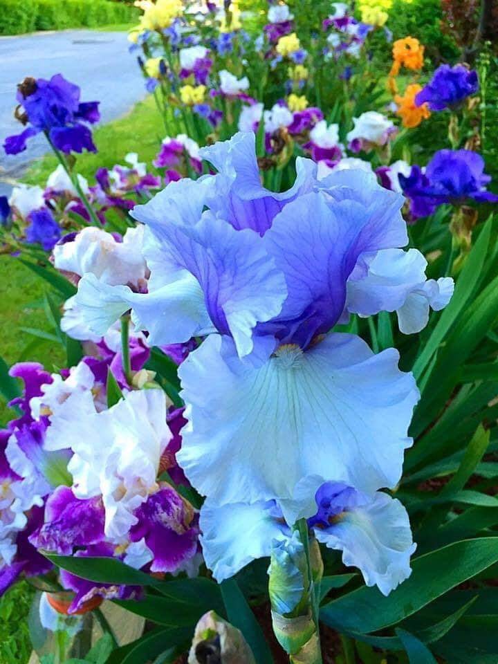 ACIM Chapter 11. V. The "Dynamics" of the Ego, P 1-3