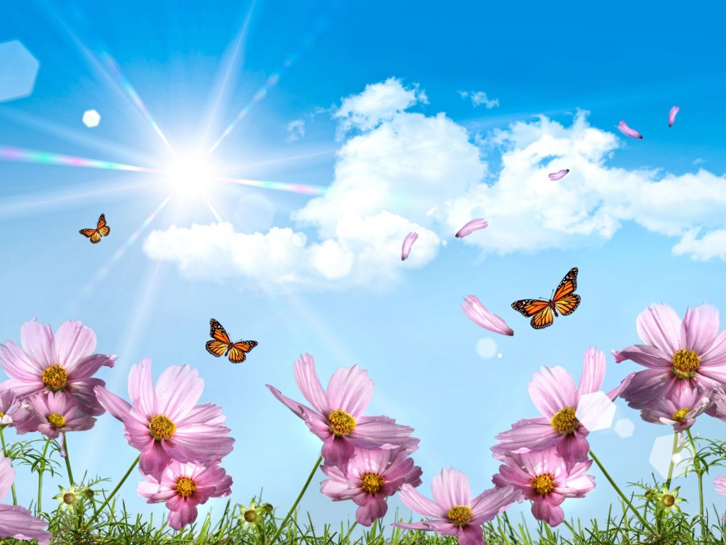 ACIM Chapter 12. VI. The Vision of Christ, P 6, 7